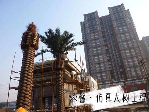 水蜜桃网在线观看大樹